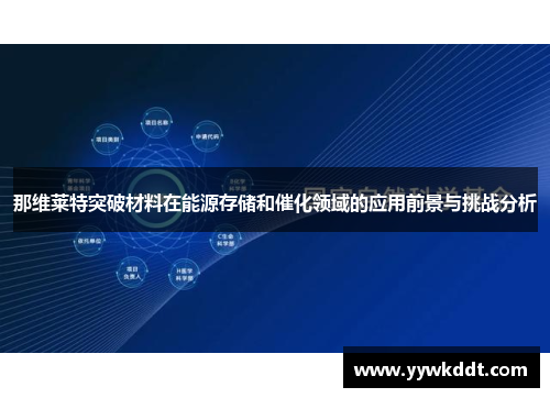 那维莱特突破材料在能源存储和催化领域的应用前景与挑战分析