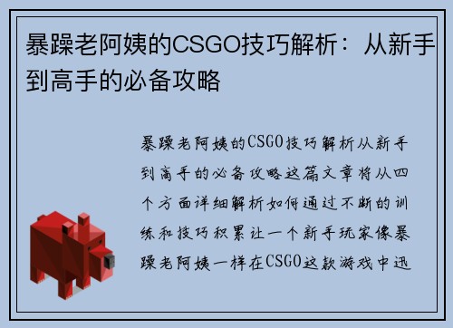 暴躁老阿姨的CSGO技巧解析：从新手到高手的必备攻略